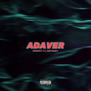 Adaver