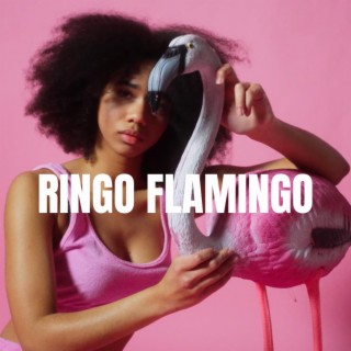 Ringo Flamingo lyrics | Boomplay Music