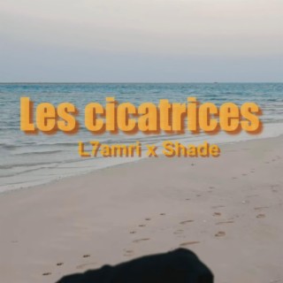 Les Cicatrices