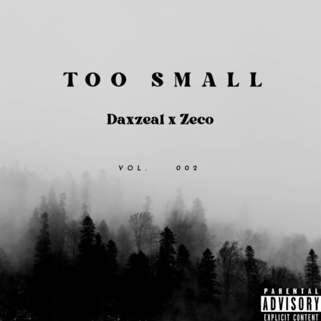 TOO SMALL ft. Zeco | Boomplay Music