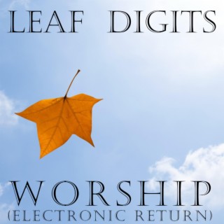 Worship (Electronic Return)