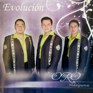 Evolución (Trio Oro Hidalguense)