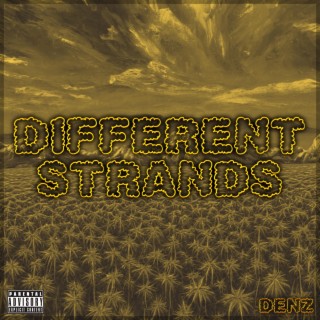 Different Strands