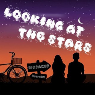 Looking At The Stars