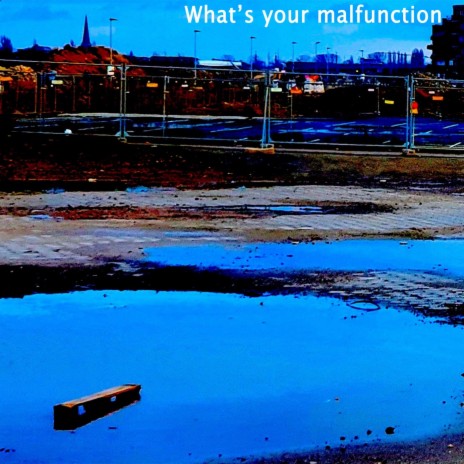 What's Your Malfunction ft. Thomas Patrick Maguire | Boomplay Music