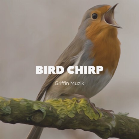 Bird Chirp | Boomplay Music