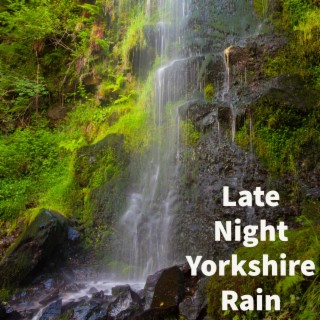 Late Night Yorkshire Rain