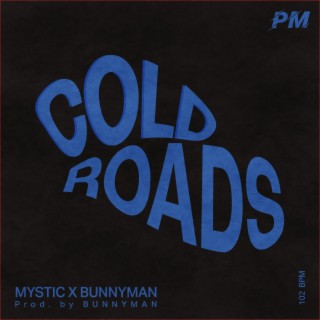 Cold Roads ft. Mystic & Bunnyman lyrics | Boomplay Music