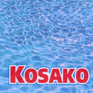 2l kosako