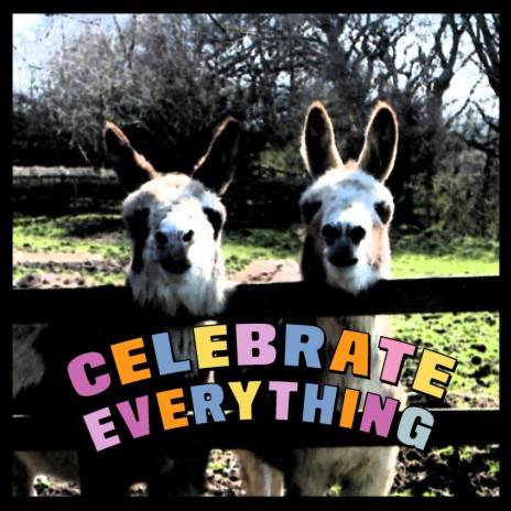 Celebrate Everything | Boomplay Music