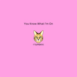 You Know What I'm On lyrics | Boomplay Music