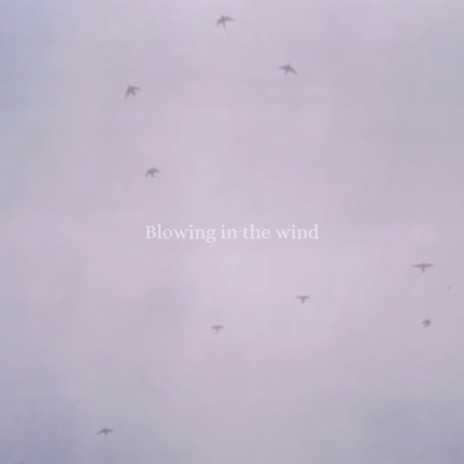 blowing in the wind | Boomplay Music