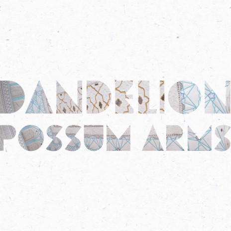 Possum Arms | Boomplay Music
