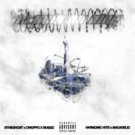 TRAPPIN ON KING ft. STheGhost, Cwoppo, Buggz & Harmonic Hits | Boomplay Music