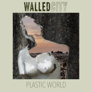 Plastic World lyrics | Boomplay Music