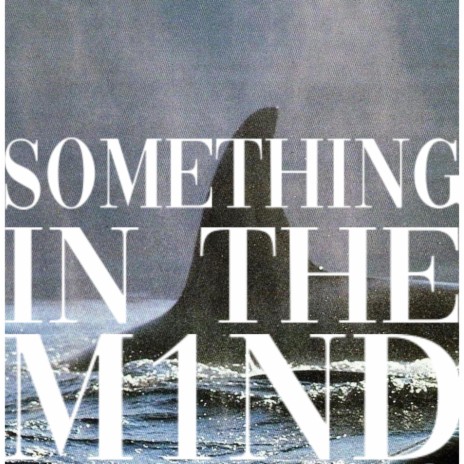 Something In The Mind ft. Vxbrxnt, Correi Kamir & THUNDARI | Boomplay Music