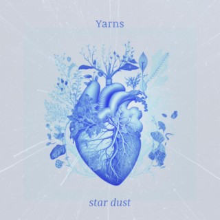 Star Dust