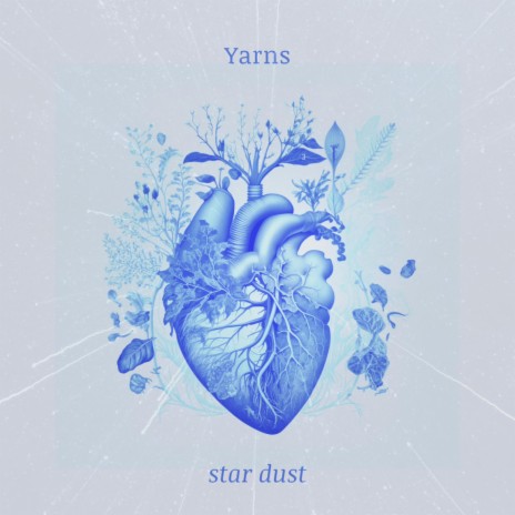 Star Dust | Boomplay Music