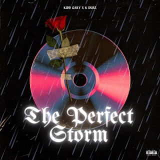 Perfect Storm Records