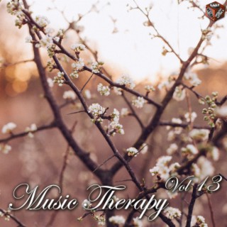 Music Therapy, Vol. 13