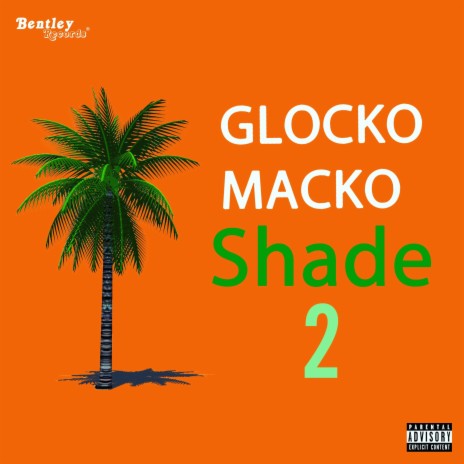 Shade 2 | Boomplay Music