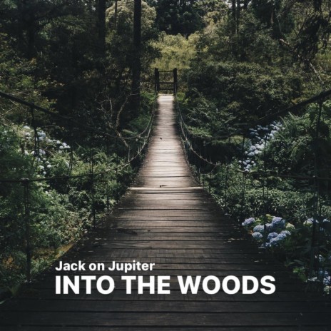 Into The Woods | Boomplay Music