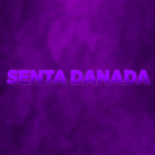 Senta Danada (Funk Remix)