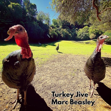 Turkey Jive | Boomplay Music