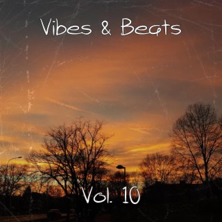 Vibes & Beats, Vol. 10