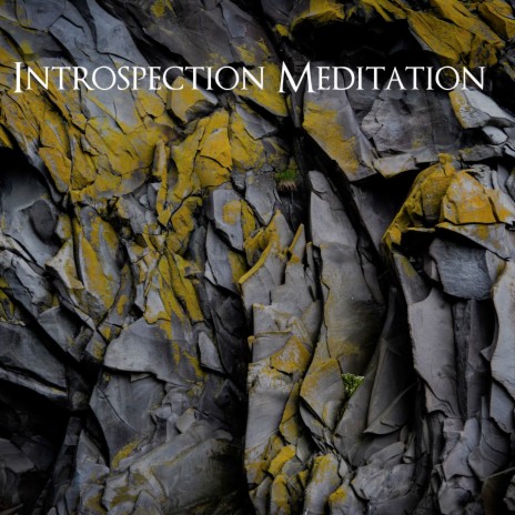Introspection Meditation | Boomplay Music