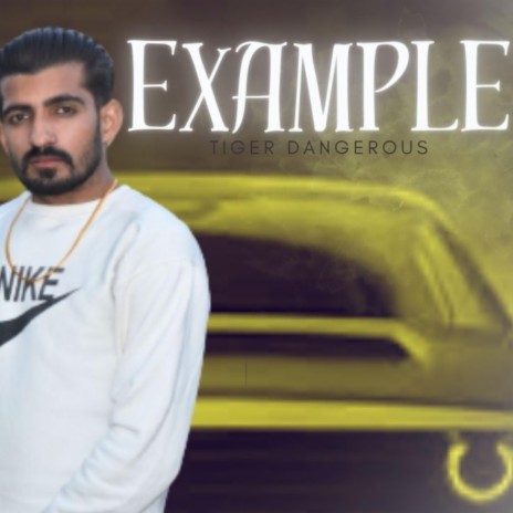 Example | Boomplay Music