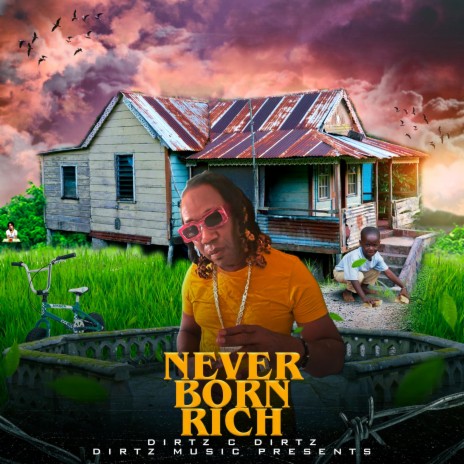 never born rich clean | Boomplay Music