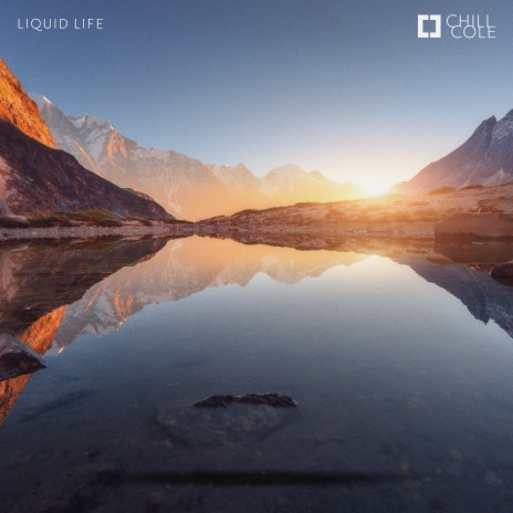 Liquid Life | Boomplay Music