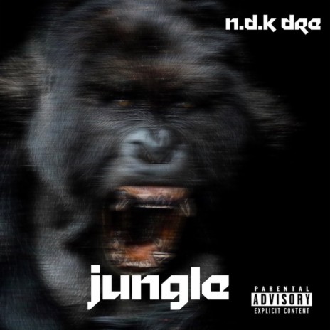 Jungle | Boomplay Music