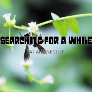 Searching for a While