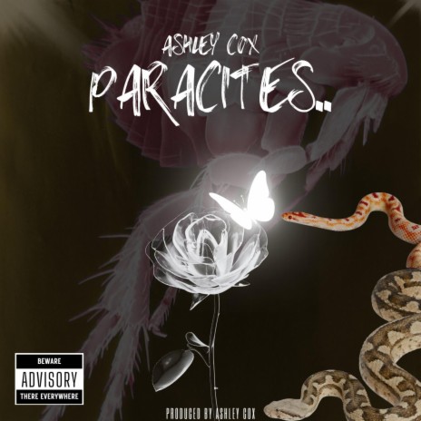 Paracites | Boomplay Music
