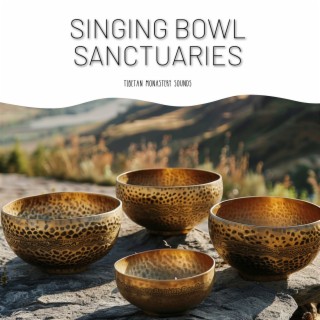 Singing Bowl Sanctuaries: Soundscapes for Relaxation