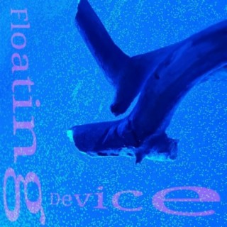 Floating Device