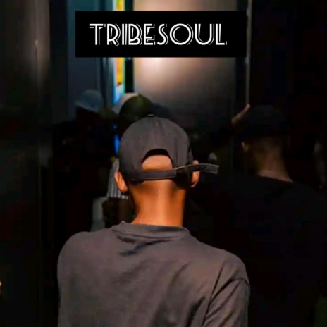 Tribesoul (Sgidongo Mix) | Boomplay Music