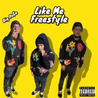 Like Me Freestyle