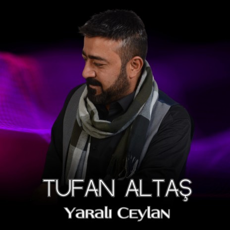 Yaralı Ceylan | Boomplay Music