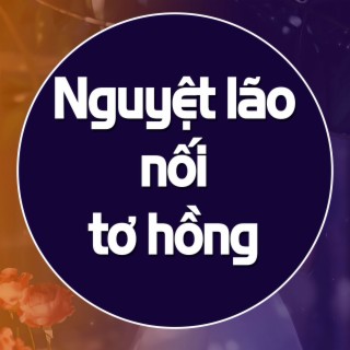 Nguyệt Lão Nối Tơ Hồng