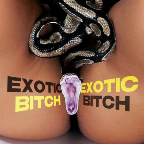 EXOTIC BITCH | Boomplay Music