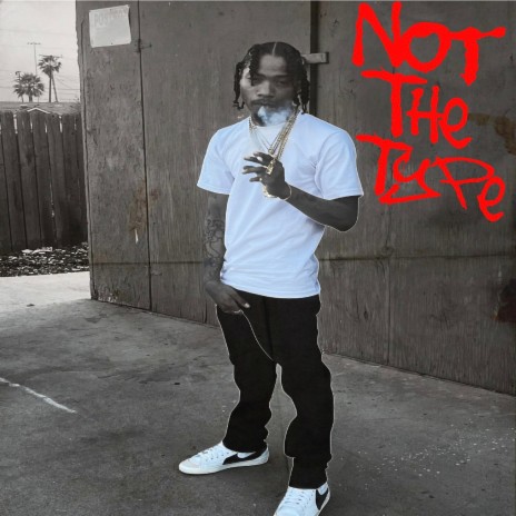 Not The Type | Boomplay Music