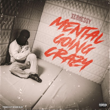Mental Going Crazy | Boomplay Music