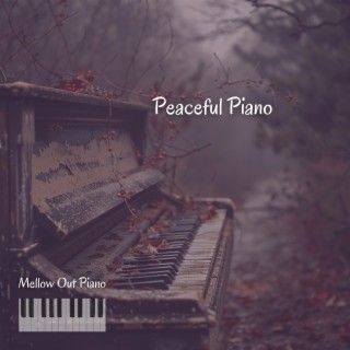 Peaceful Piano: the Sound of Calm