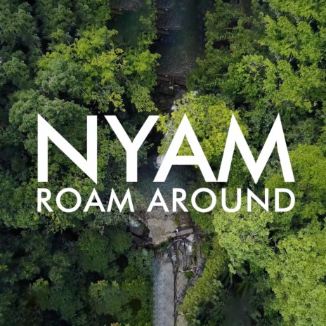 Roam Around | Boomplay Music