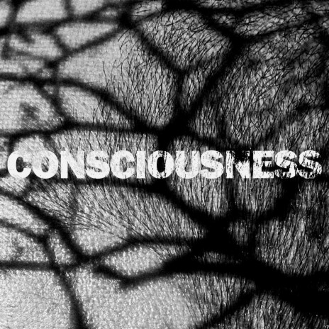 Consciousness | Boomplay Music