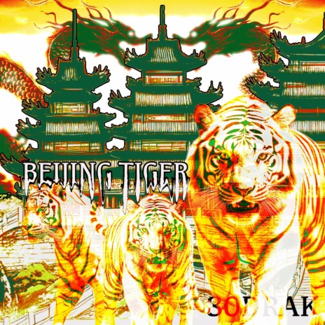 BEIJING TIGER