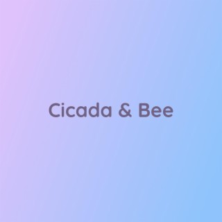 Cicada & Bee